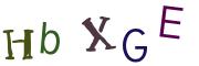 Recopier le code Captcha de l'image